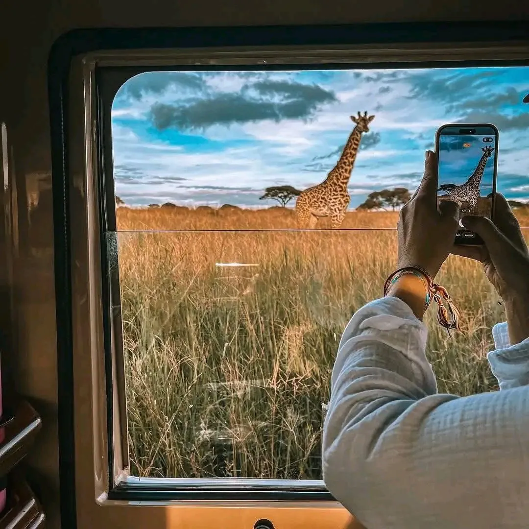 Lake Manyara National Park landscape, Tanzania
