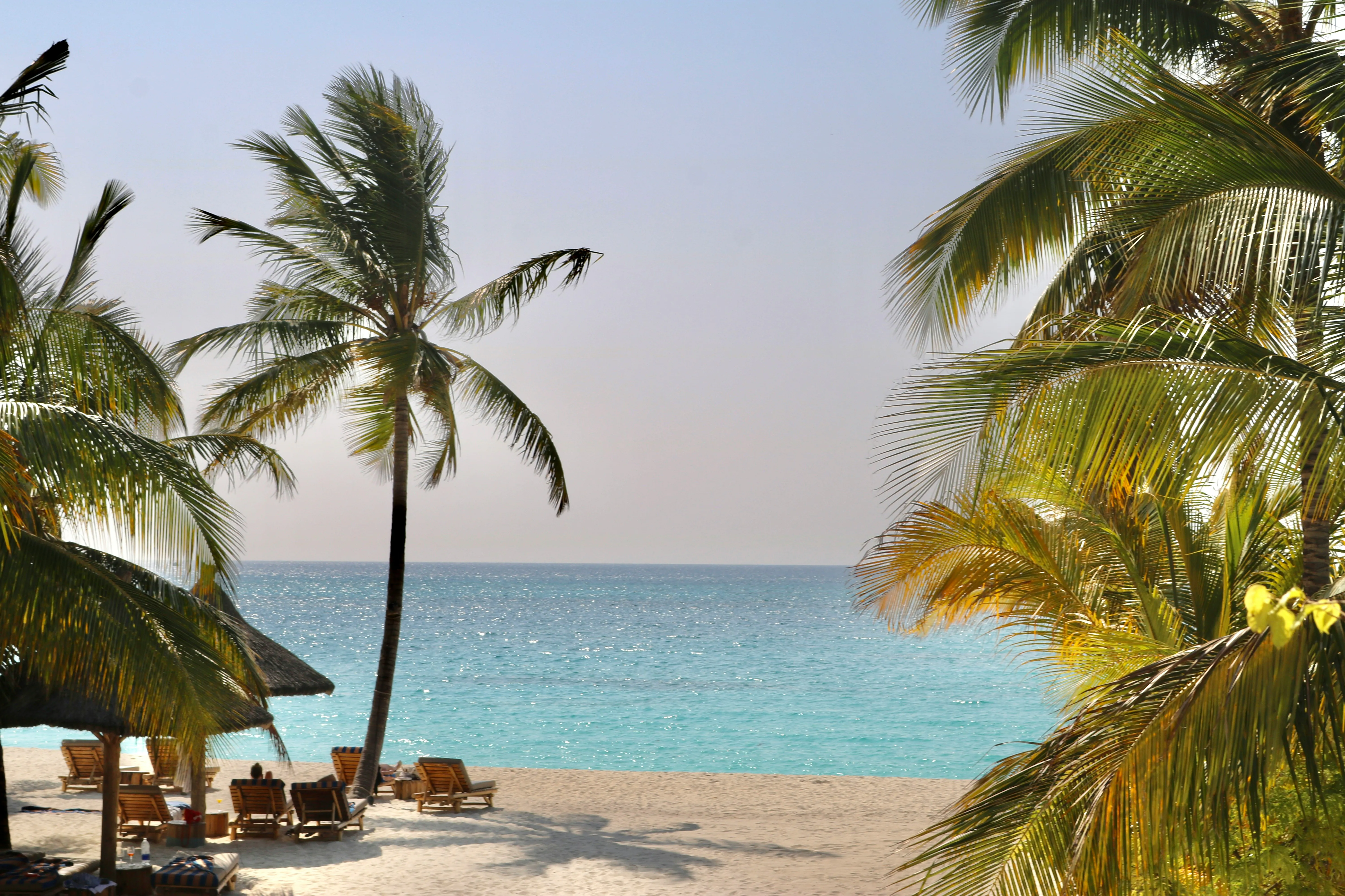 Zanzibar beach with palm trees