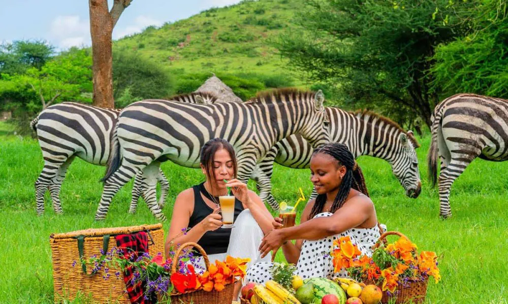 Safari Adventures placeholder - please replace with a real photo